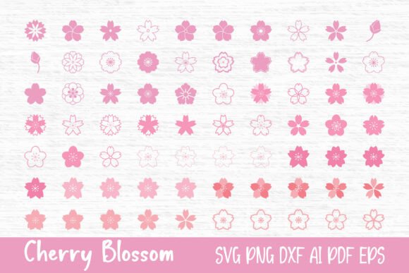 Cherry Blossom SVG Sakura SVG Graphics & Illustrations